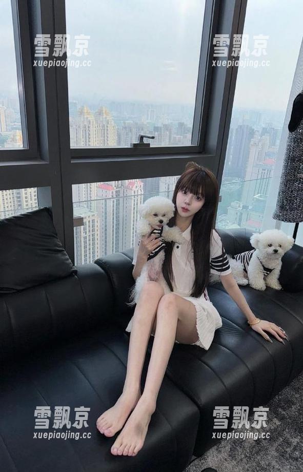 通过www.51.com直达信息华尔兹，网民的‘舞蹈’确实充满了脑洞