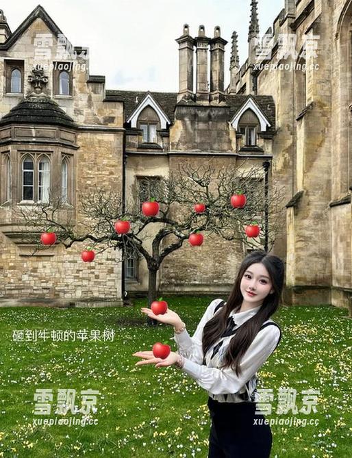 www.黑料 嗨,刚观看完www.黑料,脑海里都是神奇的画面,真想送个‘奥斯卡’给他们!