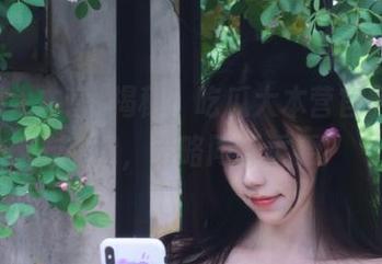 揭秘！吃瓜大本营官网，前方高能，策略同样重要！