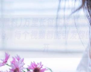 万里长征正能量黑料：网页版新姿势，每个视频都能引发你的脑洞大开