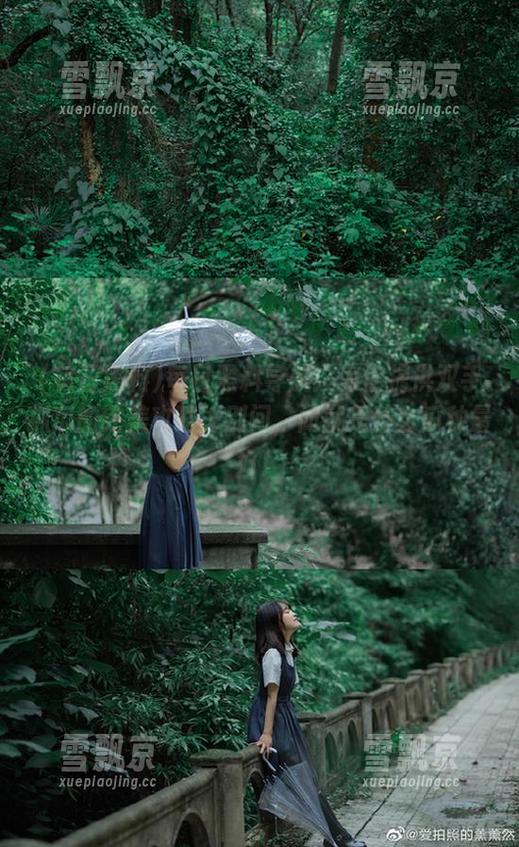 每日黑料导航：为你提供双手抓瓜的完美攻略，别问，问就是什么瓜种最好！
