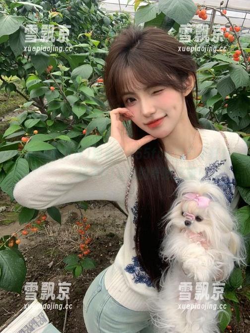 观看“655fun黑料不打烊”，一场不ULD碾的奇妙之旅！