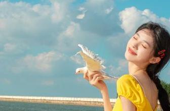 骑着黑料不打烊苹果版的波浪，果然是黑料和爆料的双重奏。