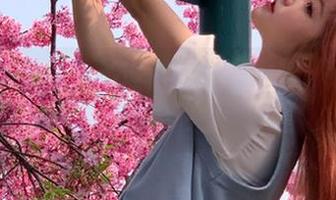 理智不理智？“黑网料”线路让人想破头！